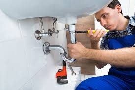 Best Pipe Inspections and Diagnostics  in Indian Springs Village, AL